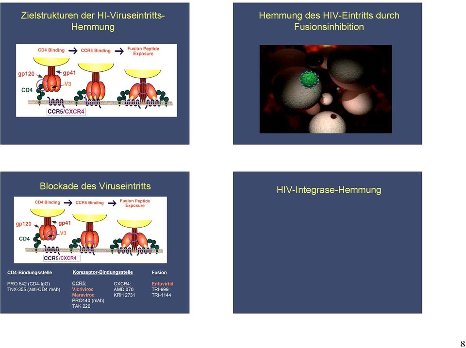 CD4-Bindungsstelle Korezeptor-Bindungsstelle Fusion PR 542 (CD4-IgG) TX-355 (anti-cd4