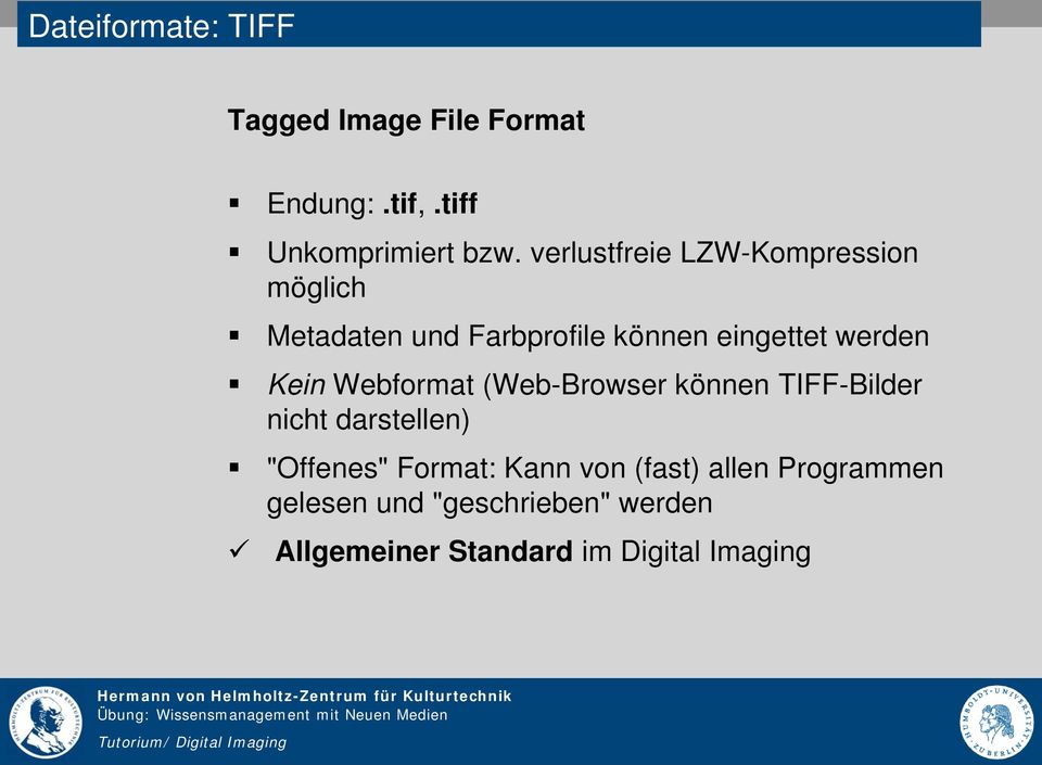 Kein Webformat (Web-Browser können TIFF-Bilder nicht darstellen) "Offenes" Format: Kann