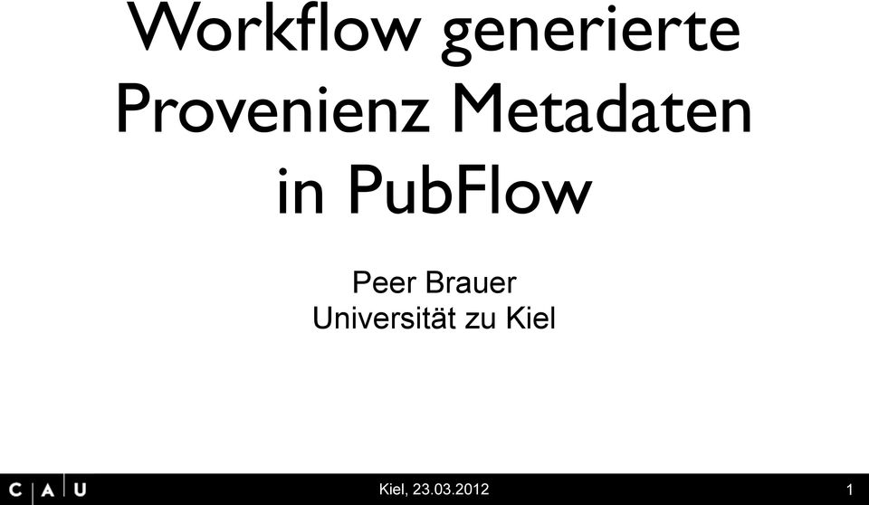 PubFlow Peer Brauer