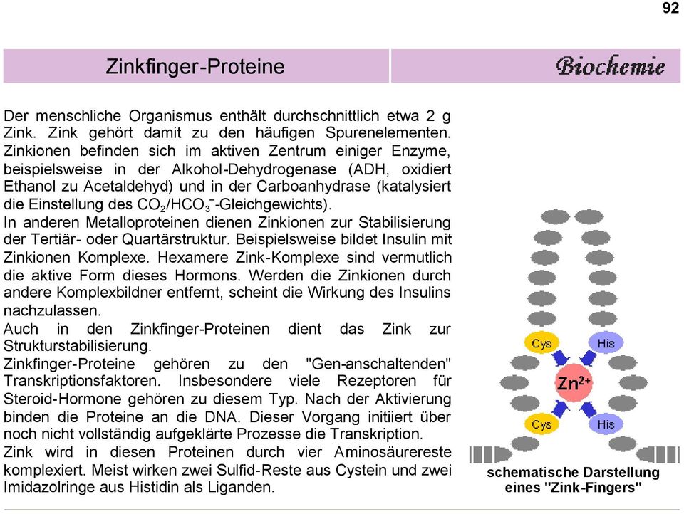 des CO 2 /HCO 3 -Gleichgewichts). In anderen Metalloproteinen dienen Zinkionen zur Stabilisierung der Tertiär- oder Quartärstruktur. Beispielsweise bildet Insulin mit Zinkionen Komplexe.