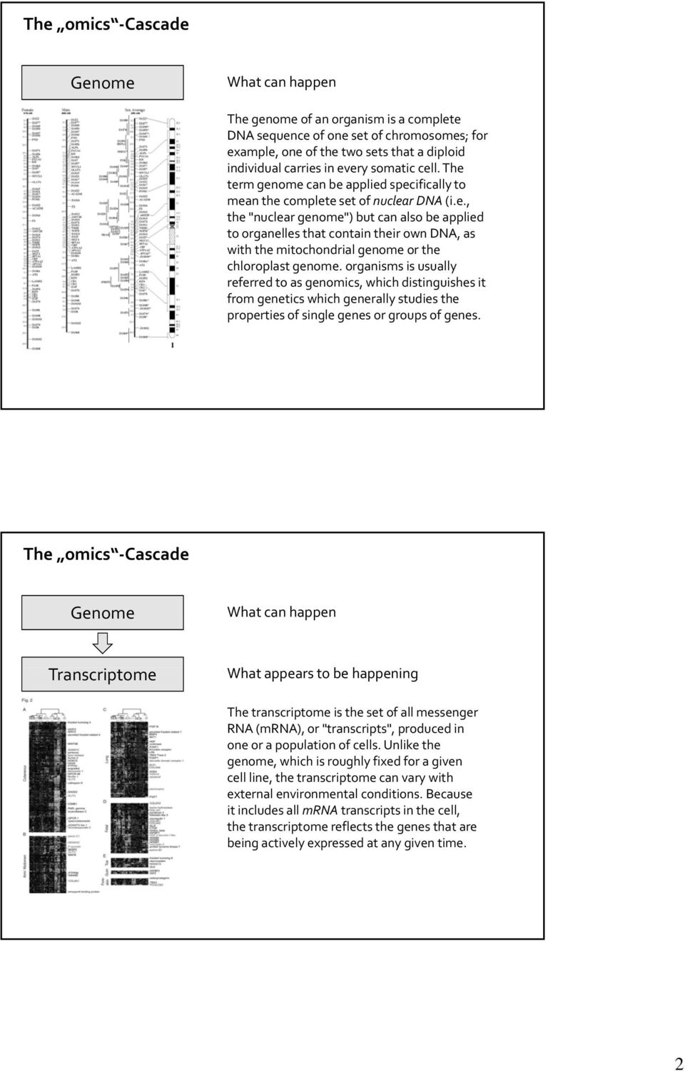 organisms is usually referred to as genomics, which distinguishes it from genetics which generally studies the properties of single genes or groups of genes.