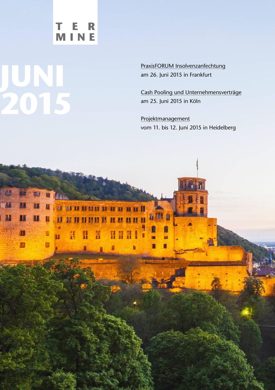 Juni 2015 in Frankfurt Cash Pooling und