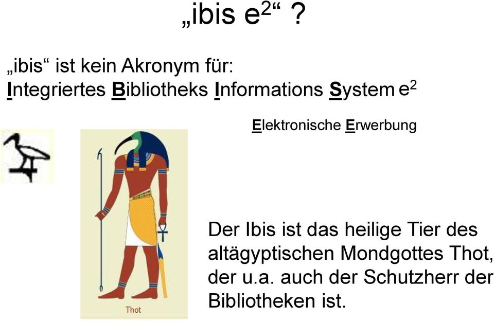 Informations System e 2 Elektronische Erwerbung Der Ibis