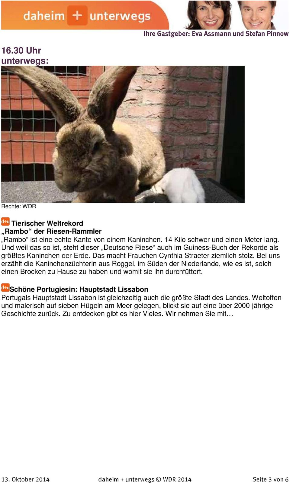 Bei uns erzählt die Kaninchenzüchterin aus Roggel, im Süden der Niederlande, wie es ist, solch einen Brocken zu Hause zu haben und womit sie ihn durchfüttert.