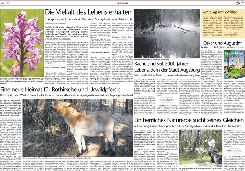 Eine neue Heimat für Rothirsche und Urwildpferde Das Projekt Lichte Wälder bemüht sich intensiv um Flora und Fauna der einzigartigen Kiefernwälder im Augsburger Stadtwald Die lichten Kiefernwälder im