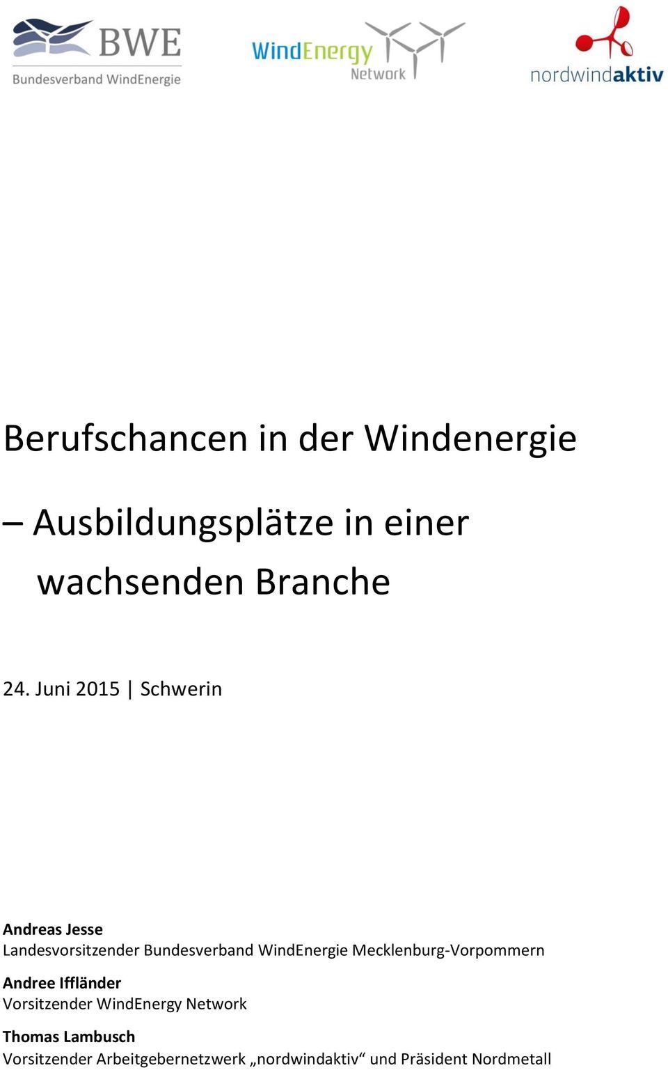 WindEnergie Mecklenburg-Vorpommern Andree Iffländer Vorsitzender WindEnergy
