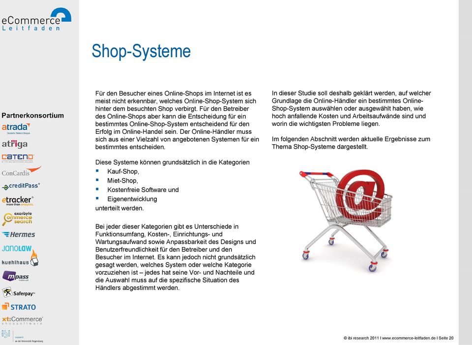 Der Online-Händler muss sich aus einer Vielzahl von angebotenen Systemen für ein bestimmtes entscheiden.