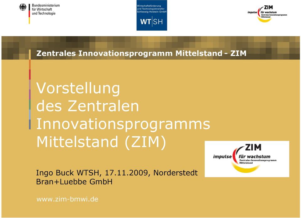 Innovationsprogramms Mittelstand (ZIM) Ingo