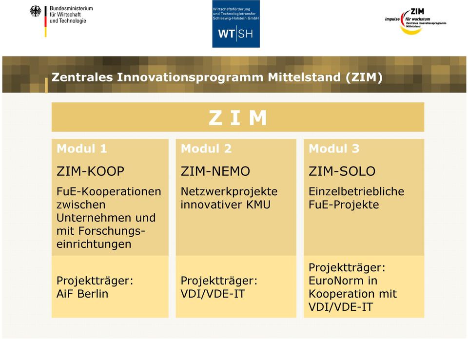 AiF Berlin Modul 2 ZIM-NEMO Netzwerkprojekte innovativer KMU Projektträger: VDI/VDE-IT