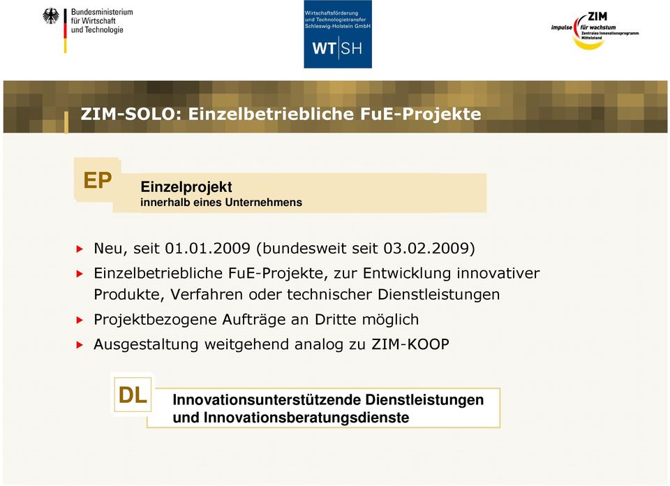 2009) Einzelbetriebliche FuE-Projekte, zur Entwicklung innovativer Produkte, Verfahren oder technischer