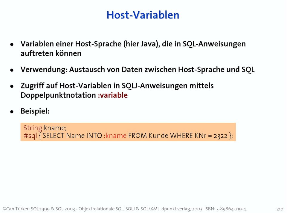 Zugriff auf Host-Variablen in SQLJ-Anweisungen mittels Doppelpunktnotation