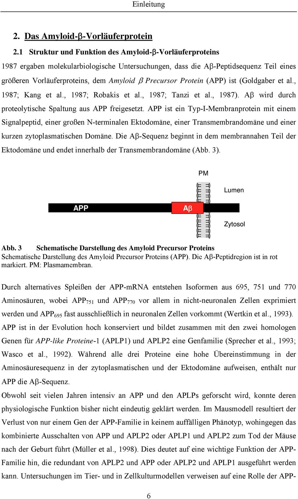 Protein (APP) ist (Goldgaber et al., 1987; Kang et al., 1987; Robakis et al., 1987; Tanzi et al., 1987). Aβ wird durch proteolytische Spaltung aus APP freigesetzt.