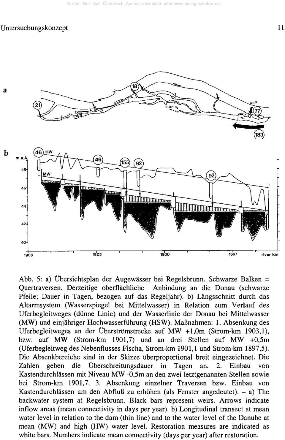 Verlauf des Uferbegleitweges (dünne Linie) und der Wasserlinie der Donau bei Mittelwasser (MW) und einjähriger Hochwasserführung (HSW). Maßnahmen: 1.