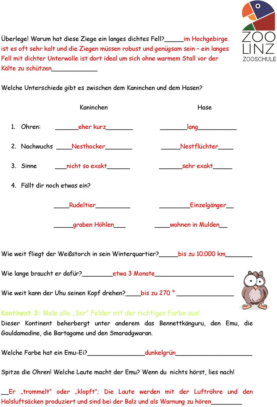 Unterschiede gibt es zwischen dem Kaninchen und dem Hasen? Kaninchen Hase 1. Ohren: eher kurz lang 2. Nachwuchs Nesthocker Nestflüchter 3. Sinne nicht so exakt sehr exakt 4. Fällt dir noch etwas ein?