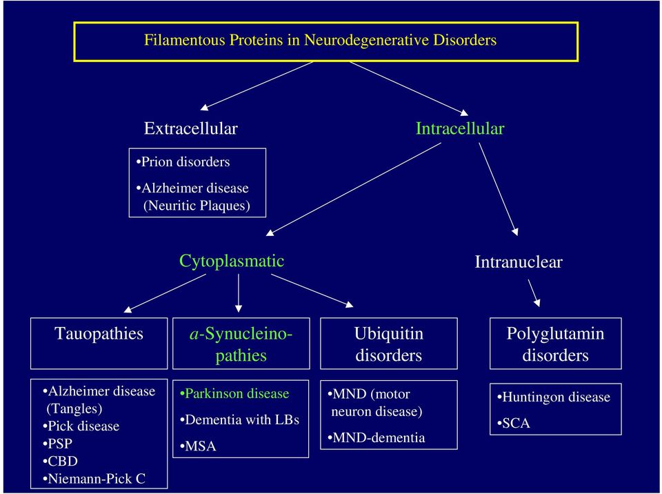 Ubiquitin disorders Polyglutamin disorders Alzheimer disease (Tangles) Pick disease PSP CBD