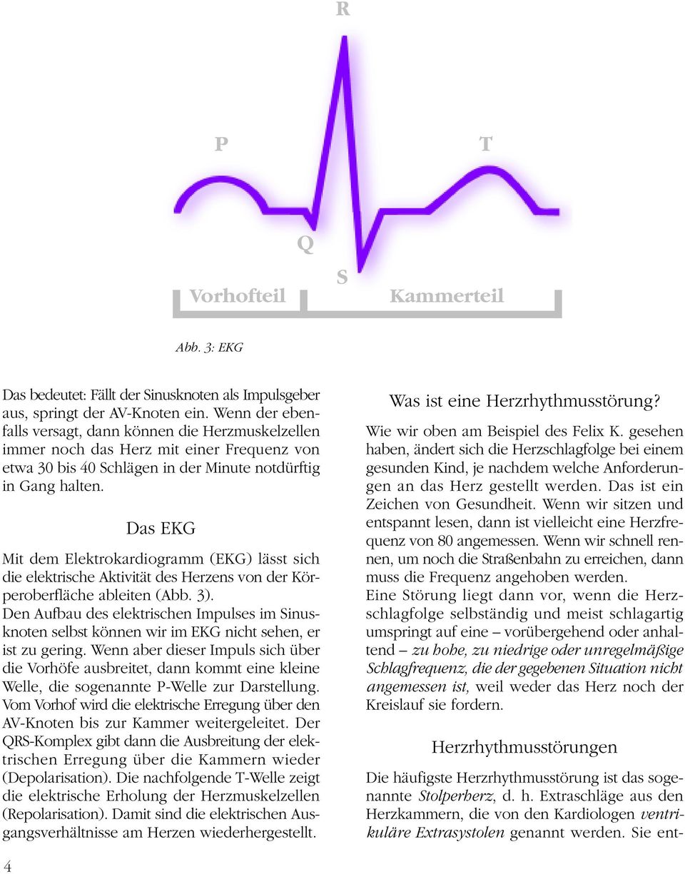 Das EKG Mit dem Elektrokardiogramm (EKG) lässt sich die elektrische Aktivität des Herzens von der Körperoberfläche ableiten (Abb. 3).