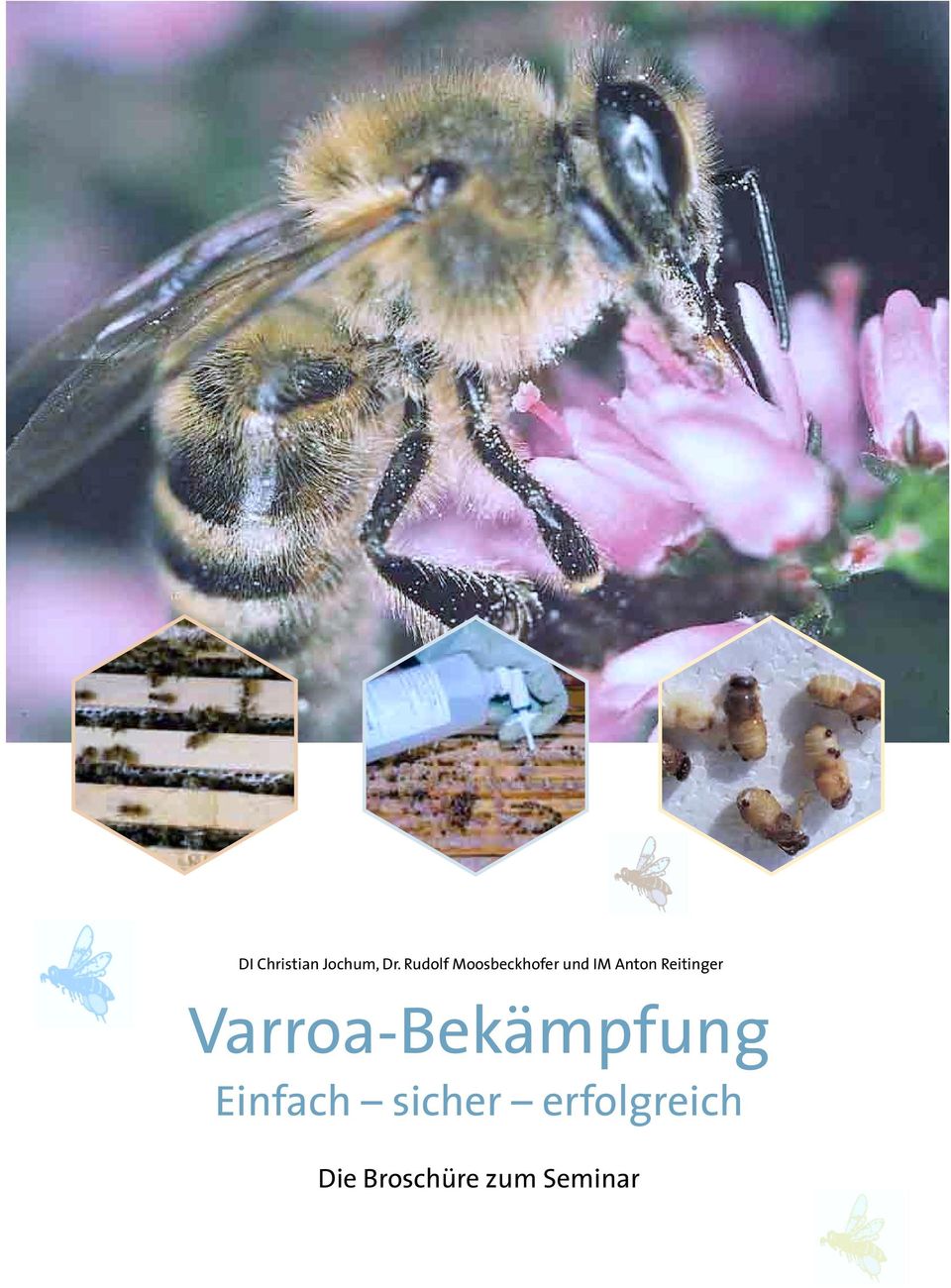 Reitinger Varroa-Bekämpfung