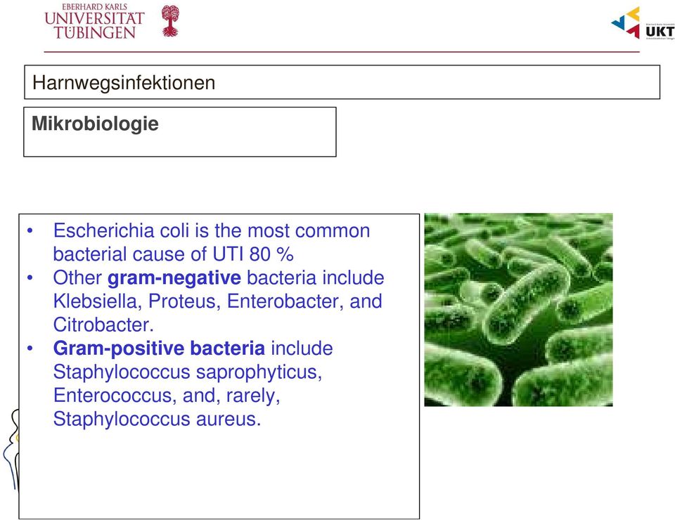 Klebsiella, Proteus, Enterobacter, and Citrobacter.