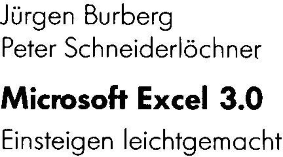 Microsoft Excel 3.