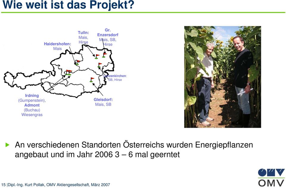 (Buchau) Wiesengras Gleisdorf: Mais, SB An verschiedenen Standorten Österreichs wurden