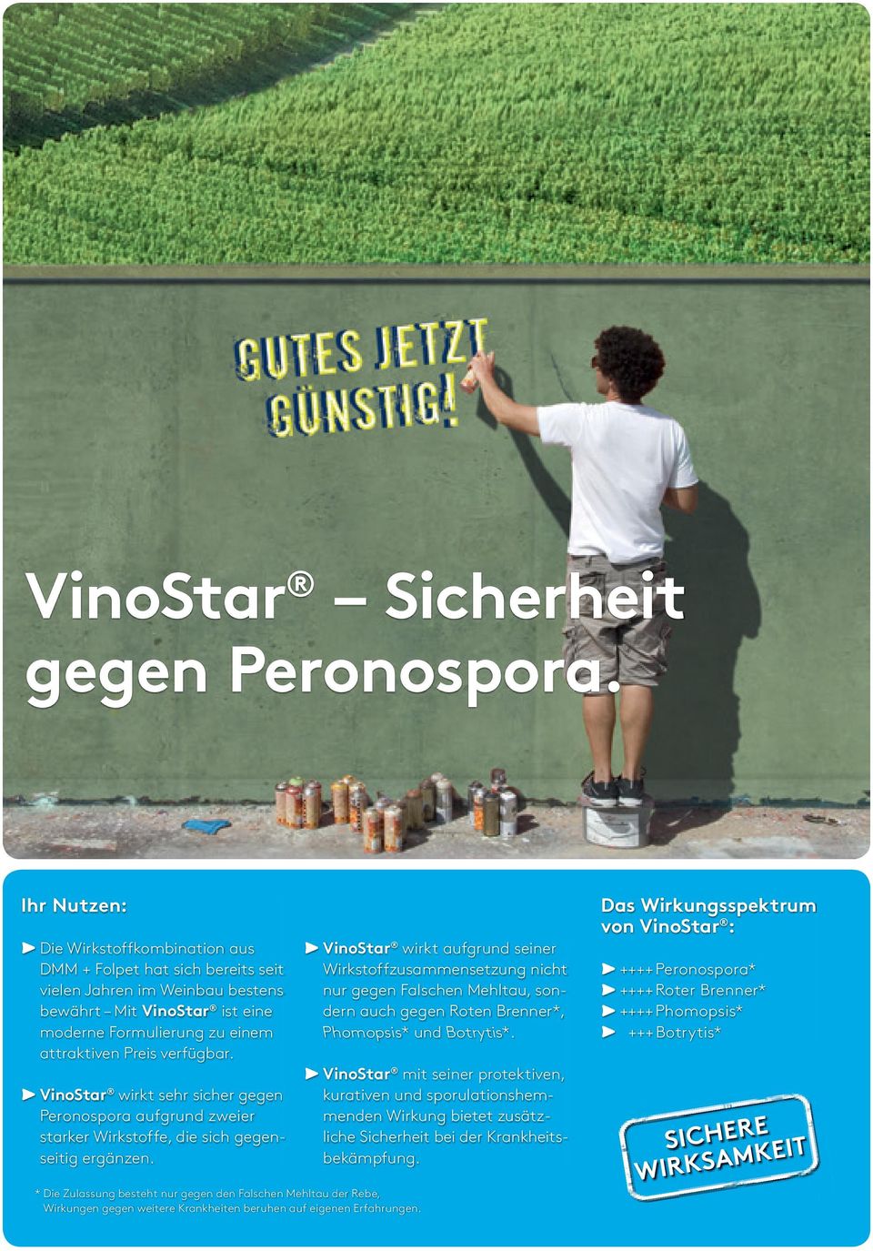 VinoStar wirkt sehr sicher gegen Peronospora aufgrund zweier starker Wirkstoffe, die sich gegenseitig ergänzen.
