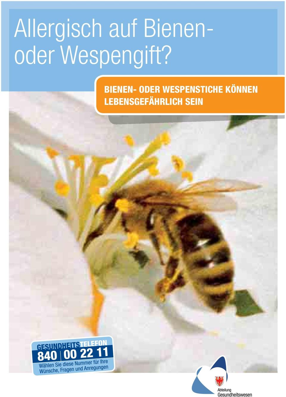 BIENEN- ODER