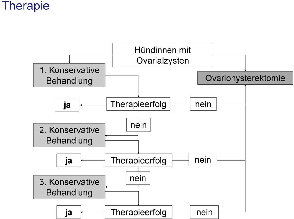 Ovariohysterektomie ja 2.