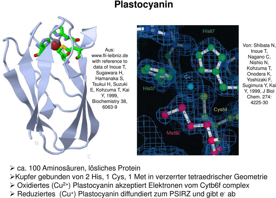 Shibata N, Inoue T, Nagano C, Nishio N, Kohzuma T, Onodera K, Yoshizaki F, Sugimura Y, Kai Y, 1999, J Biol Chem. 274: 4225-30 ca.