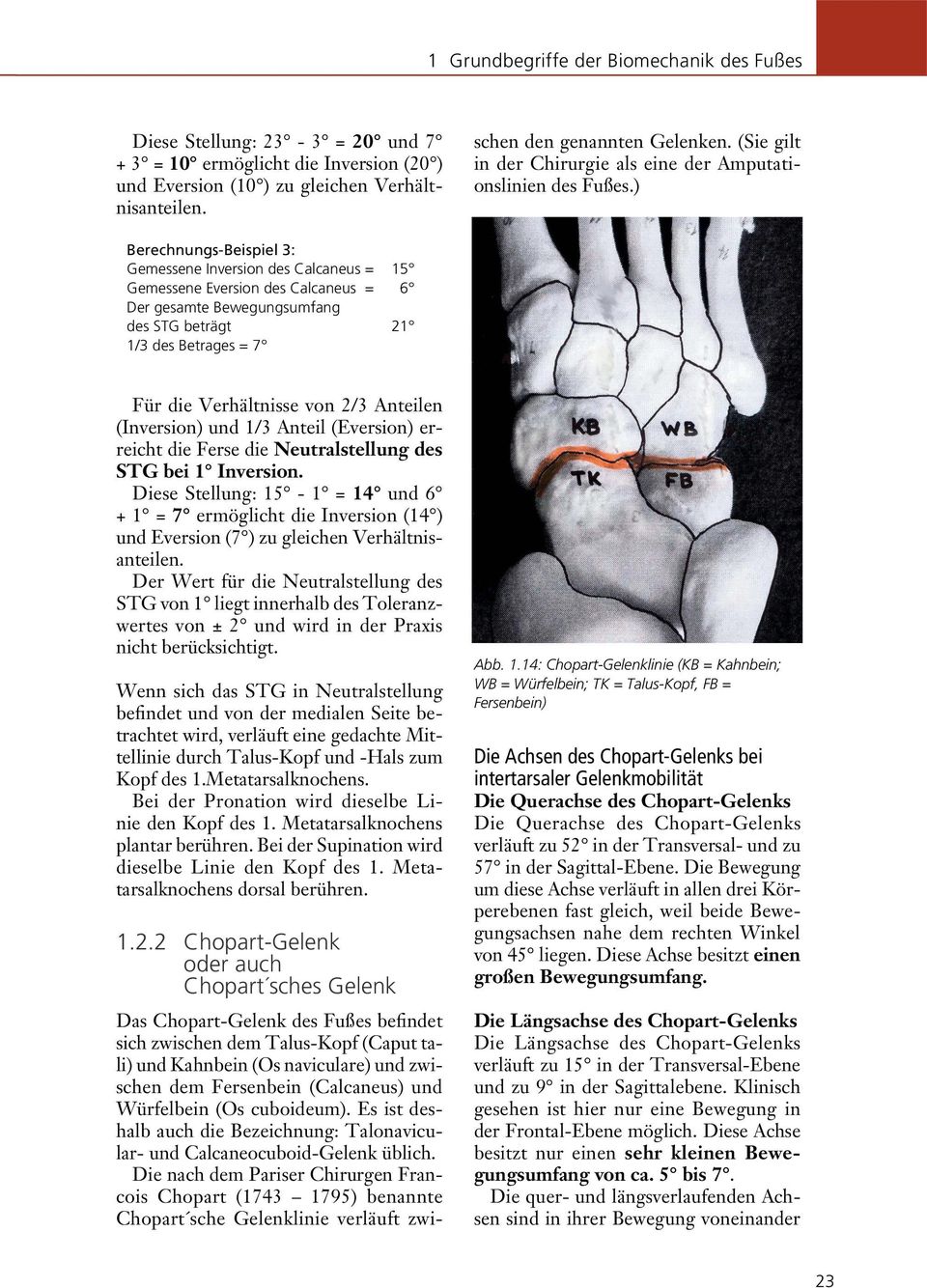 ) Berechnungs-Beispiel 3: Gemessene Inversion des Calcaneus = 15 Gemessene Eversion des Calcaneus = 6 Der gesamte Bewegungsumfang des STG beträgt 21 1/3 des Betrages = 7 Für die Verhältnisse von 2/3