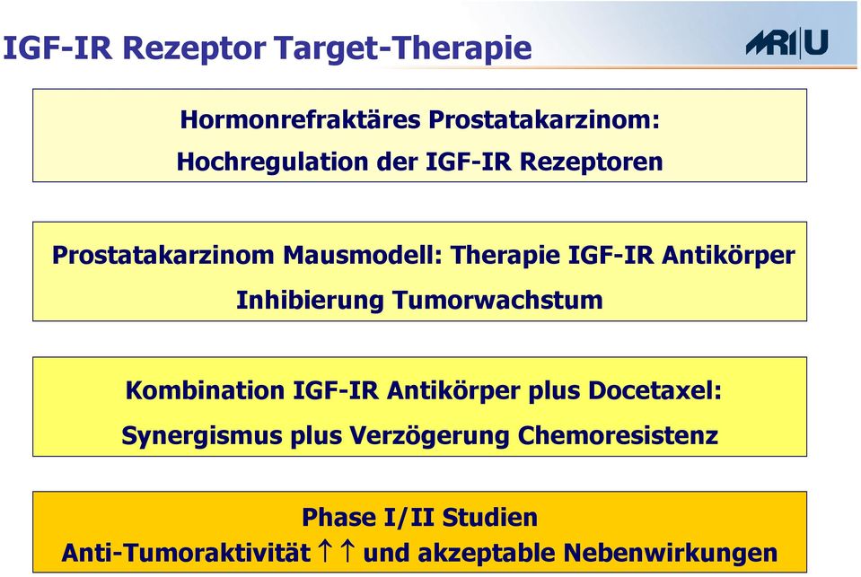 Tumorwachstum Kombination IGF-IR Antikörper plus Docetaxel: Synergismus plus