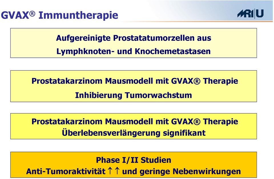 Tumorwachstum Prostatakarzinom Mausmodell mit GVAX Therapie