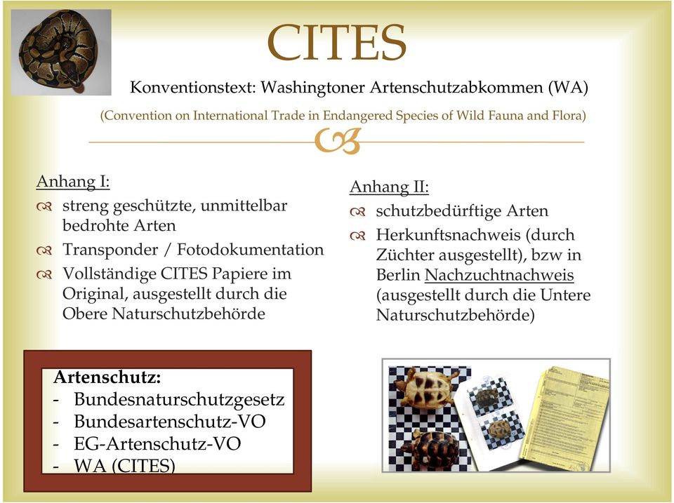 durch die Obere Naturschutzbehörde Anhang II: schutzbedürftige Arten Herkunftsnachweis (durch Züchter ausgestellt), bzw in Berlin
