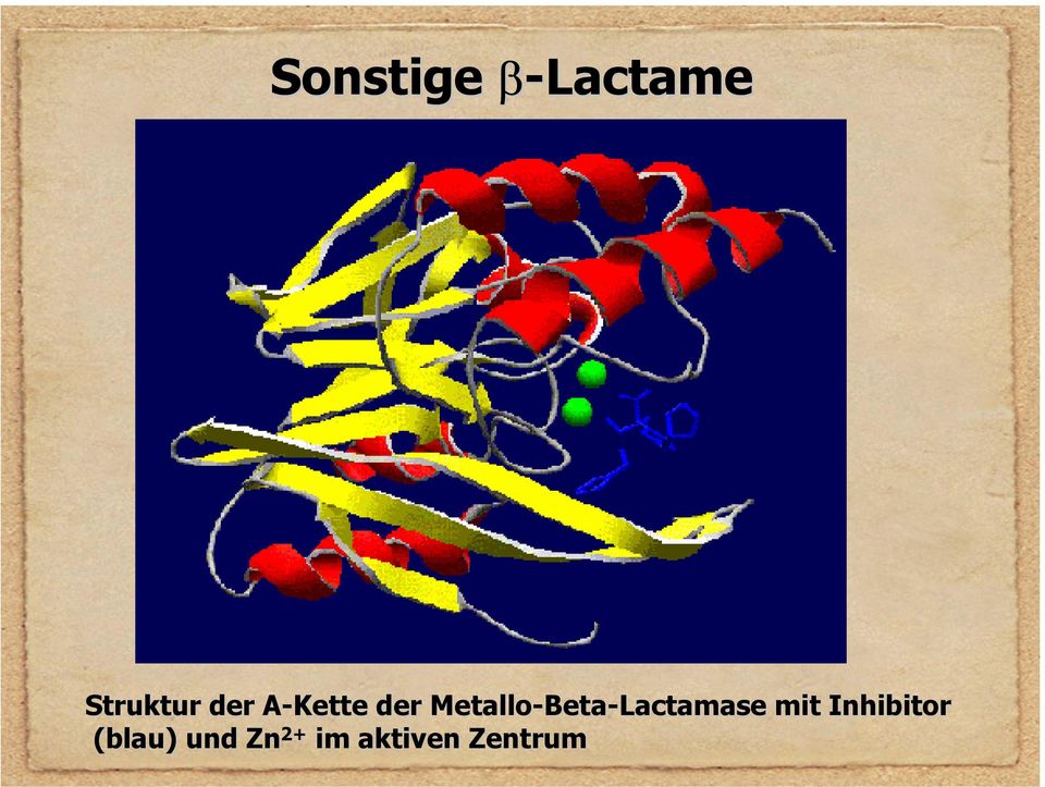 Beta-Lactamase mit Inhibitor
