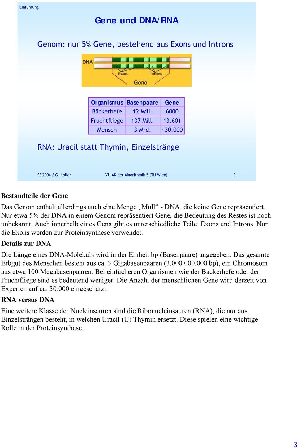 Koller VU AK der Algorithmik 5 (TU Wien) 3 Bestandteile der Gene Das Genom enthält allerdings auch eine Menge Müll - DNA, die keine Gene repräsentiert.
