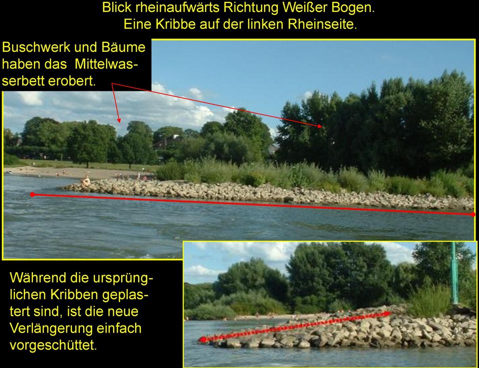 Eine Kribbe auf der linken Rheinseite.