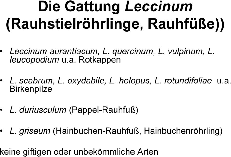 holopus, L. rotundifoliae u.a. Birkenpilze L. duriusculum (Pappel-Rauhfuß) L.