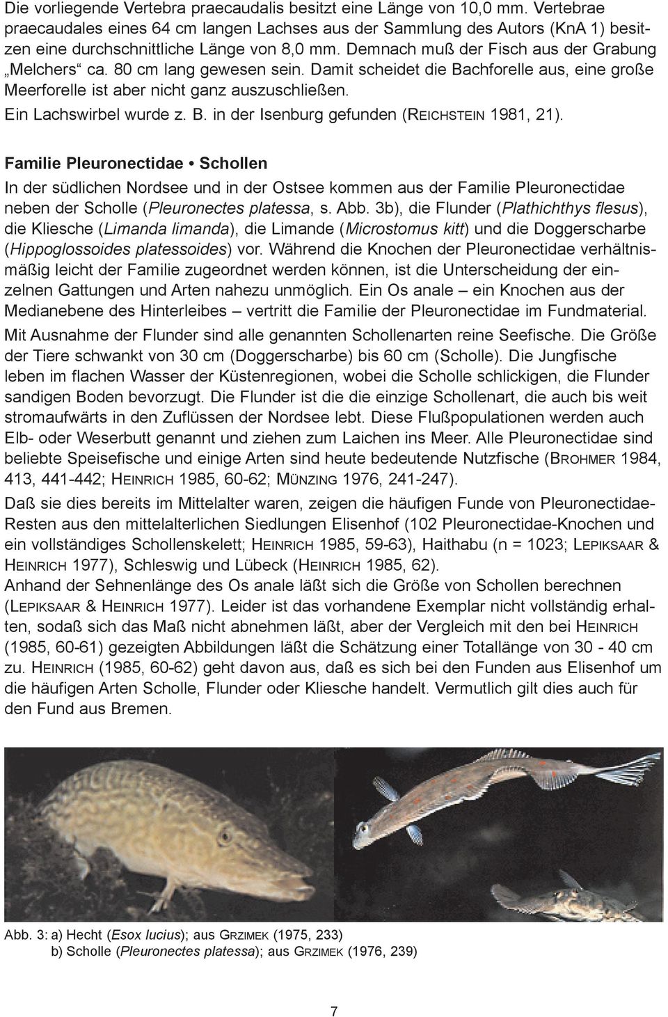 80 cm lang gewesen sein. Damit scheidet die Bachforelle aus, eine große Meerforelle ist aber nicht ganz auszuschließen. Ein Lachswirbel wurde z. B. in der Isenburg gefunden (Reichstein 1981, 21).