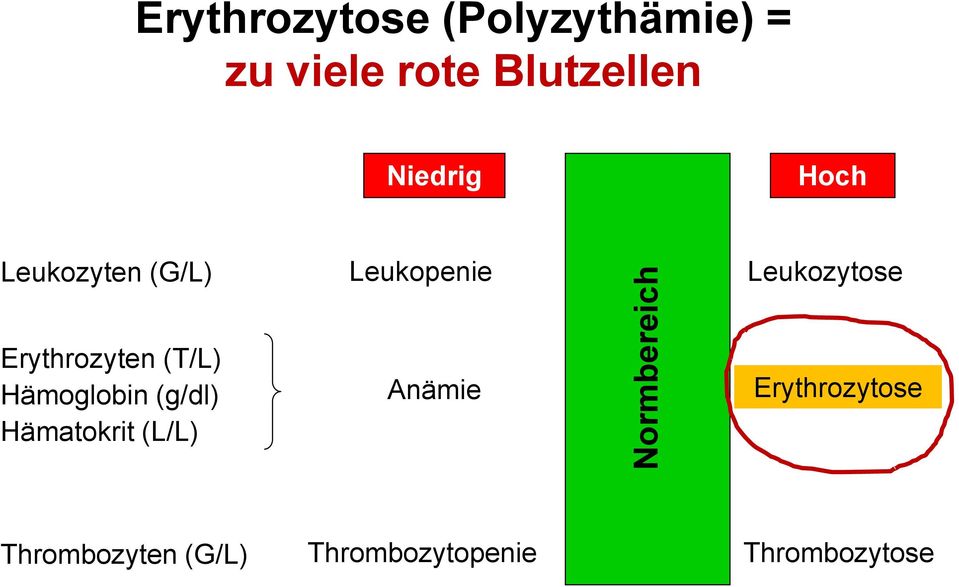 Leukozytose Erythrozyten (T/L) Hämoglobin (g/dl) Hämatokrit