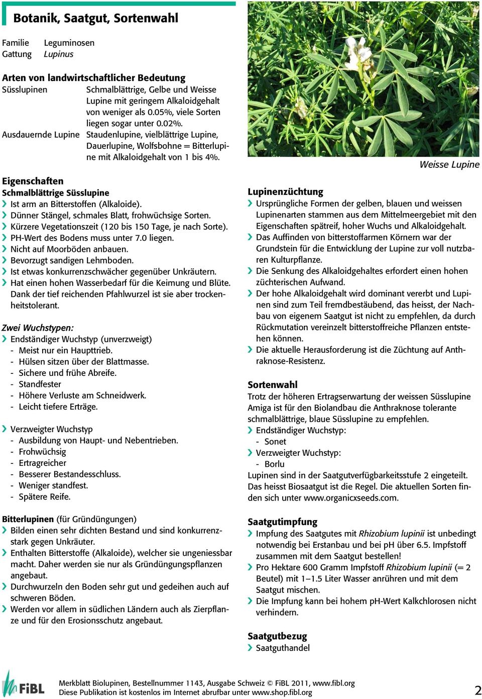 Eigenschaften Schmalblättrige Süsslupine Ist arm an Bitterstoffen (Alkaloide). Dünner Stängel, schmales Blatt, frohwüchsige Sorten. Kürzere Vegetationszeit (120 bis 150 Tage, je nach Sorte).