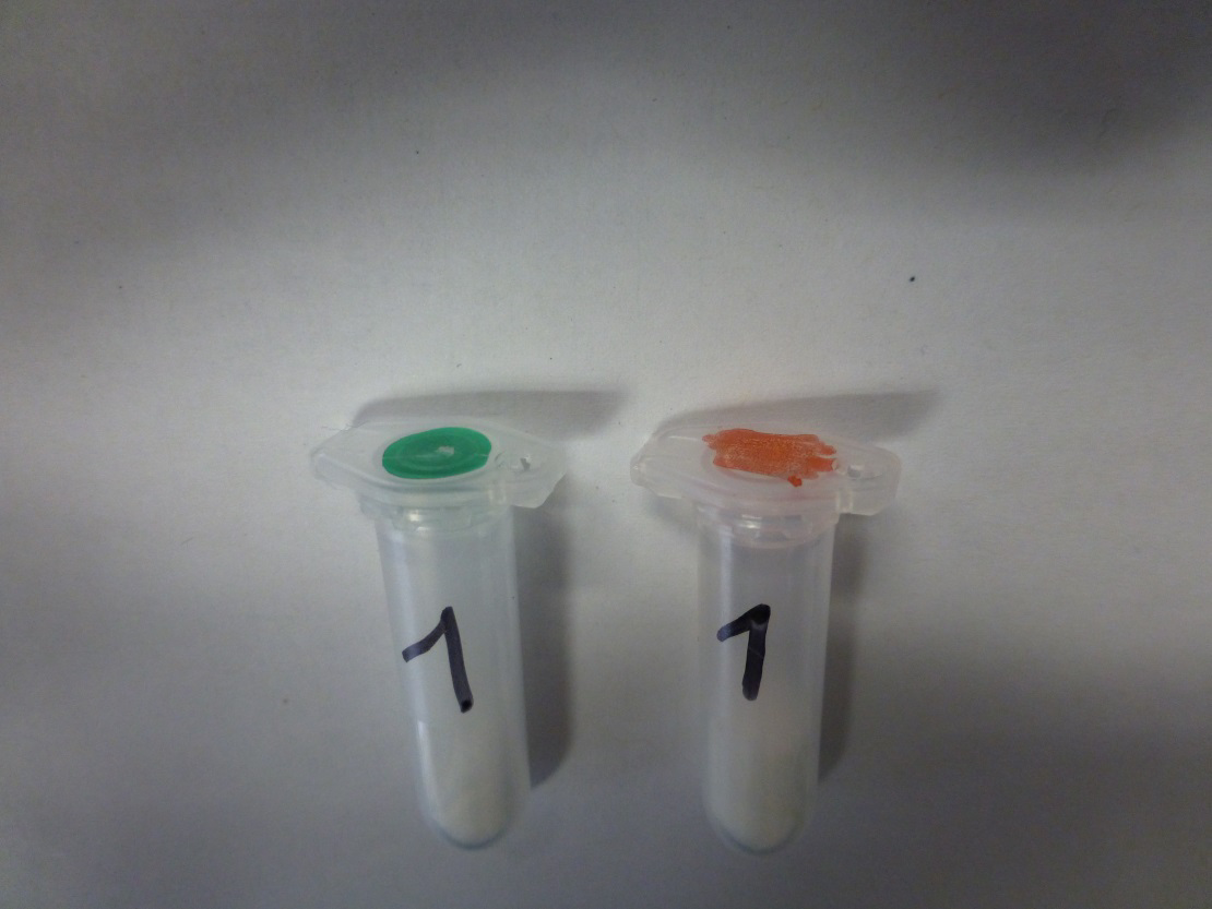 Geruch: Experiment 1: Erkennen von Gerüchen (Probe 1) Aufgabe: In deiner Experimentiertüte befindet sich ein verschlossenes Plastikröhrchen, das mit 1 gekennzeichnet ist.