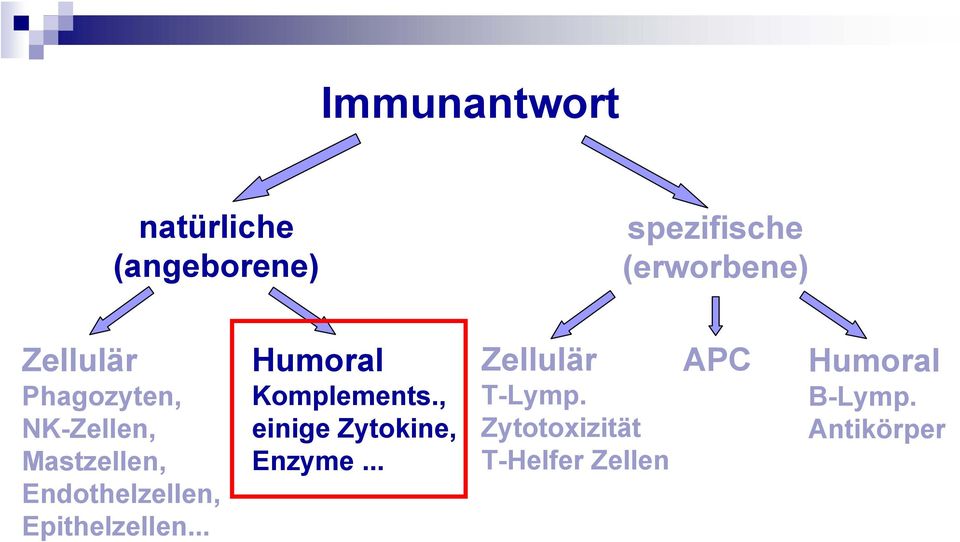 Epithelzellen... Humoral Komplements., einige Zytokine, Enzyme.