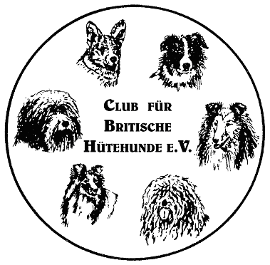Sitz Hildesheim Bearded Collie, Border Collie, Collie (Langhaar u.
