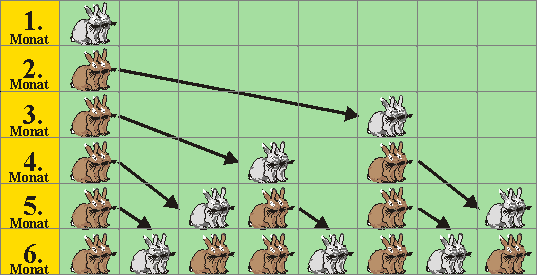 Kaninchenpopulation Ein Fall für Fibonacci (1170-1250) Wie viele Kaninchenpaare gibt es am Ende eines Jahres, wenn im