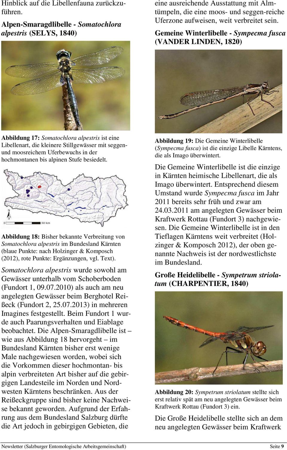 Gemeine Winterlibelle - Sympecma fusca (VANDER LINDEN, 1820) Abbildung 17: Somatochlora alpestris ist eine Libellenart, die kleinere Stillgewässer mit seggenund moosreichem Uferbewuchs in der