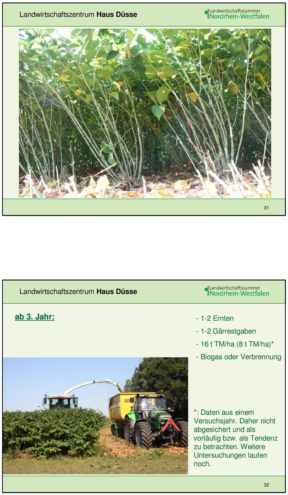 TM/ha)* - Biogas oder Verbrennung *: Daten aus einem