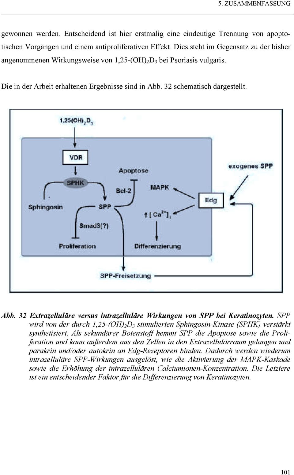 32 schematisch dargestellt. Abb. 32 Extrazelluläre versus intrazelluläre Wirkungen von SPP bei Keratinozyten.