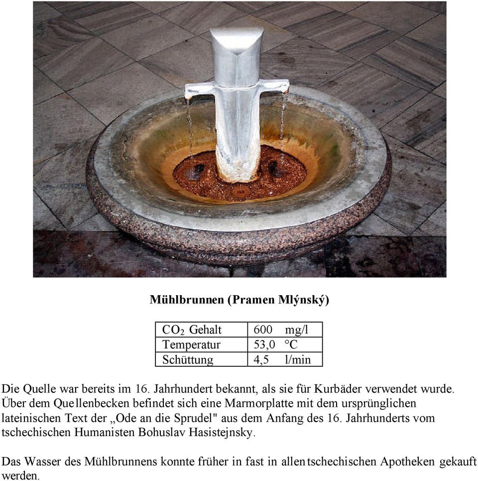 Über dem Quellenbecken befindet sich eine Marmorplatte mit dem ursprünglichen lateinischen Text der Ode an die Sprudel"