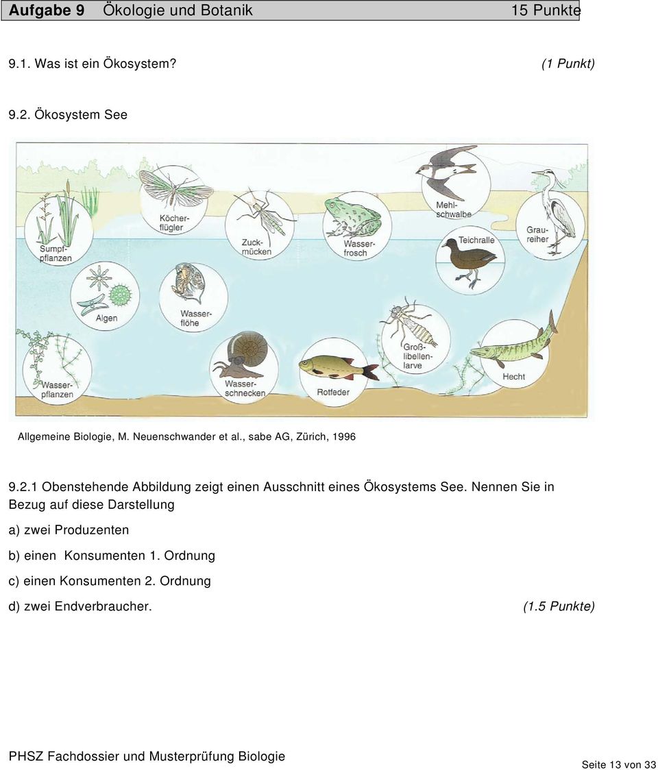 1 Obenstehende Abbildung zeigt einen Ausschnitt eines Ökosystems See.