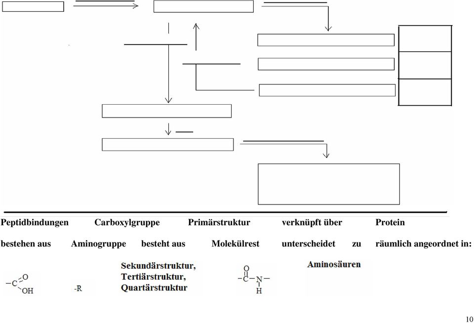 bestehen aus Aminogruppe besteht aus