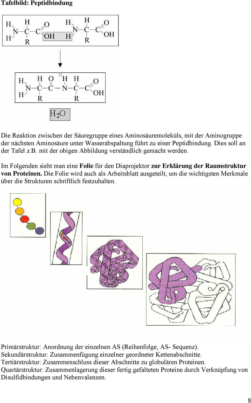 Die Folie wird auch als Arbeitsblatt ausgeteilt, um die wichtigsten Merkmale über die Strukturen schriftlich festzuhalten. Primärstruktur: Anordnung der einzelnen AS (Reihenfolge, AS- Sequenz).